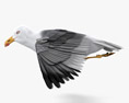 Common Gull Flying Modèle 3d