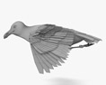 Common Gull Flying 3D模型