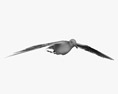 Common Gull Flying Modello 3D