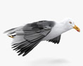 Common Gull Flying Modelo 3D