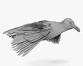 Common Gull Flying 3D-Modell