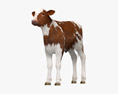 Brown and White Calf 3Dモデル