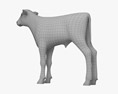 Brown and White Calf 3D-Modell