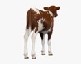 Brown and White Calf 3d model