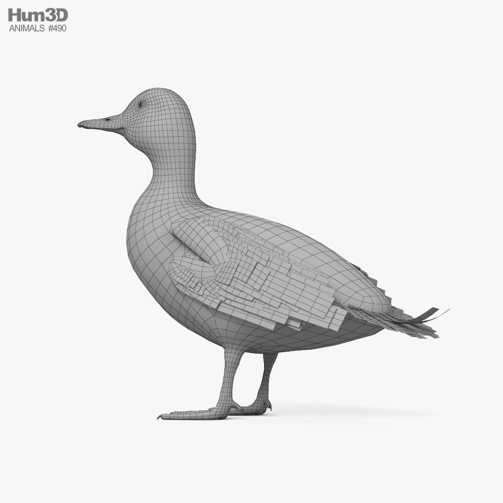 Mallard Duck 3D model - Animals on 3DModels