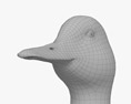 绿头鸭 3D模型