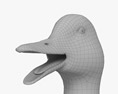 绿头鸭 3D模型