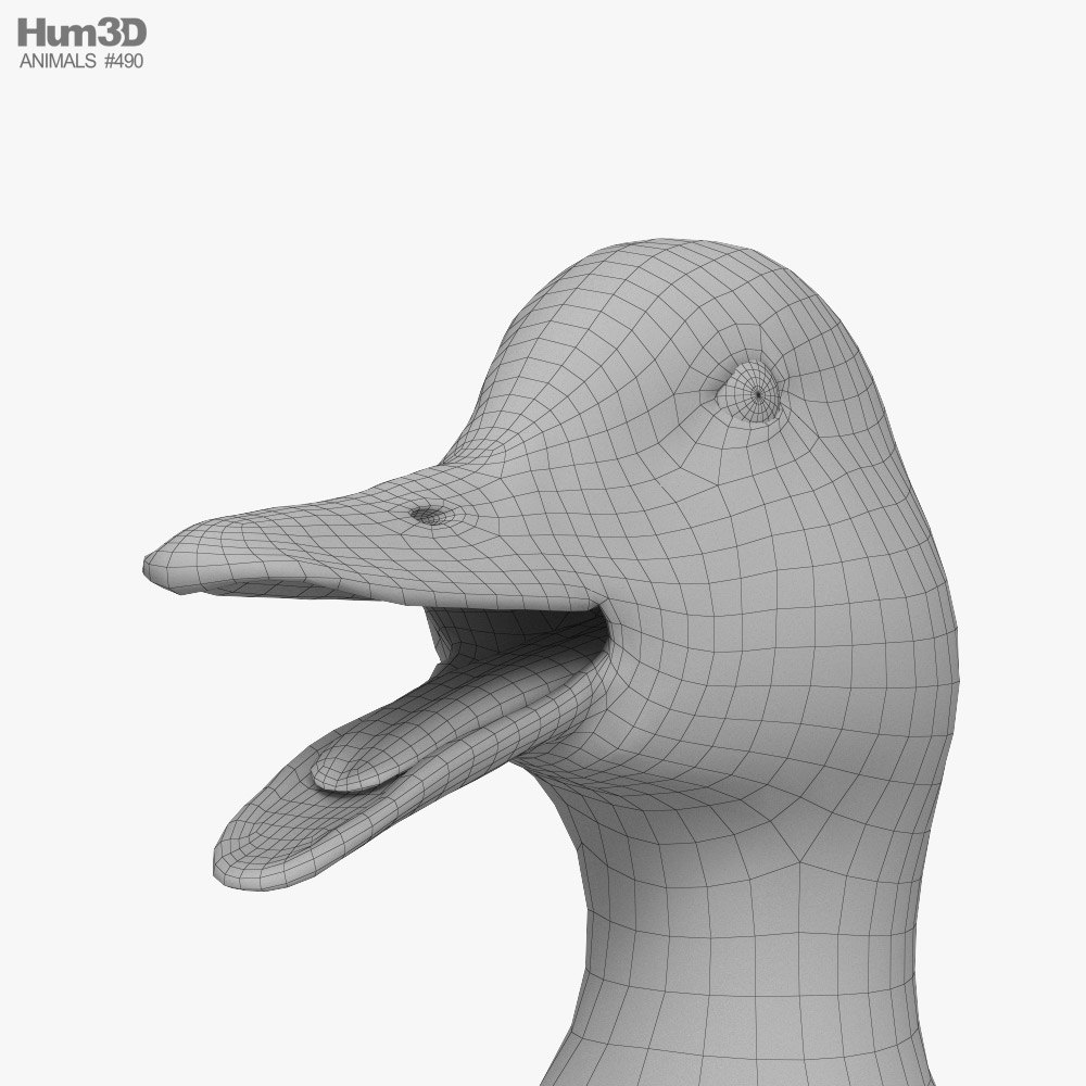 Mallard Duck 3D model - Animals on 3DModels