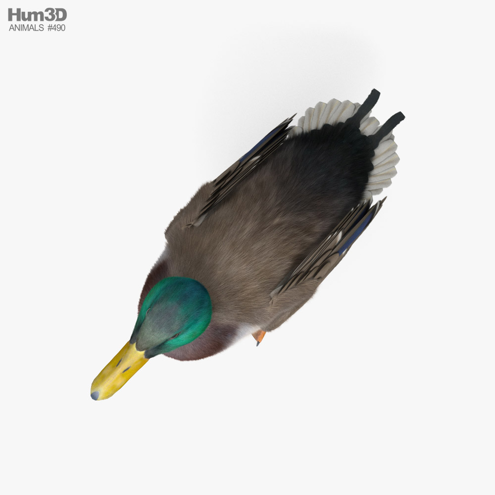 3D file Mighty Ducks - Wildwing Flashblade - Super patos・3D