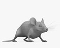 灰老鼠 3D模型