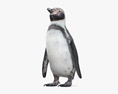 フンボルトペンギン 3Dモデル