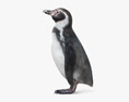 秘鲁企鹅 3D模型