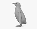 フンボルトペンギン 3Dモデル