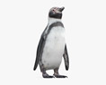 Humboldt-Pinguin 3D-Modell