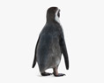 Пингвин Гумбольдта 3D модель