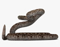 Serpent à sonnette Modèle 3d