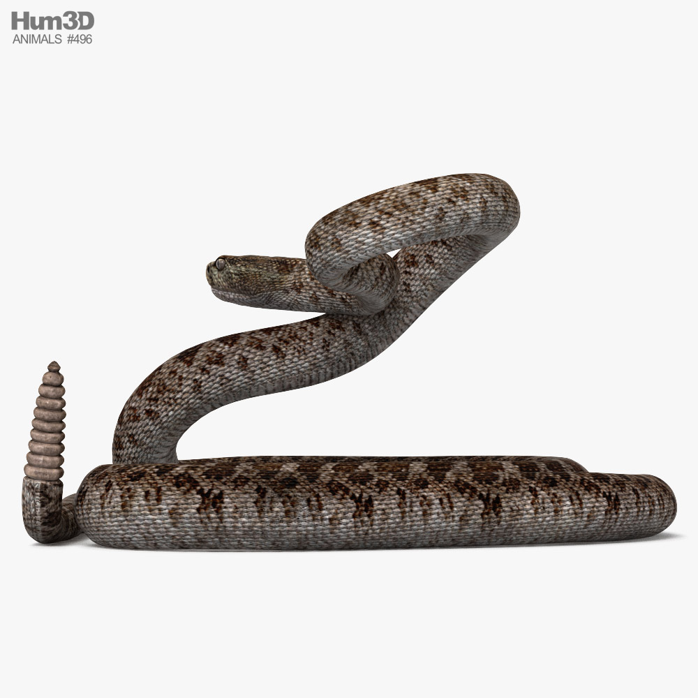 Serpente a sonagli gigante scuro attrezzato per Cinema 4D Modello 3D $129 -  .c4d - Free3D
