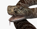 Serpente a sonagli Modello 3D