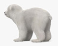 Bebê urso polar Modelo 3d
