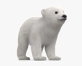 아기 북극곰 3D 모델 