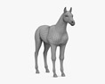 Pferdefohlen 3D-Modell