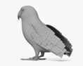 費沙氏情侶鸚鵡 3D模型