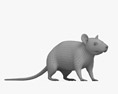 Schwarze Ratte 3D-Modell
