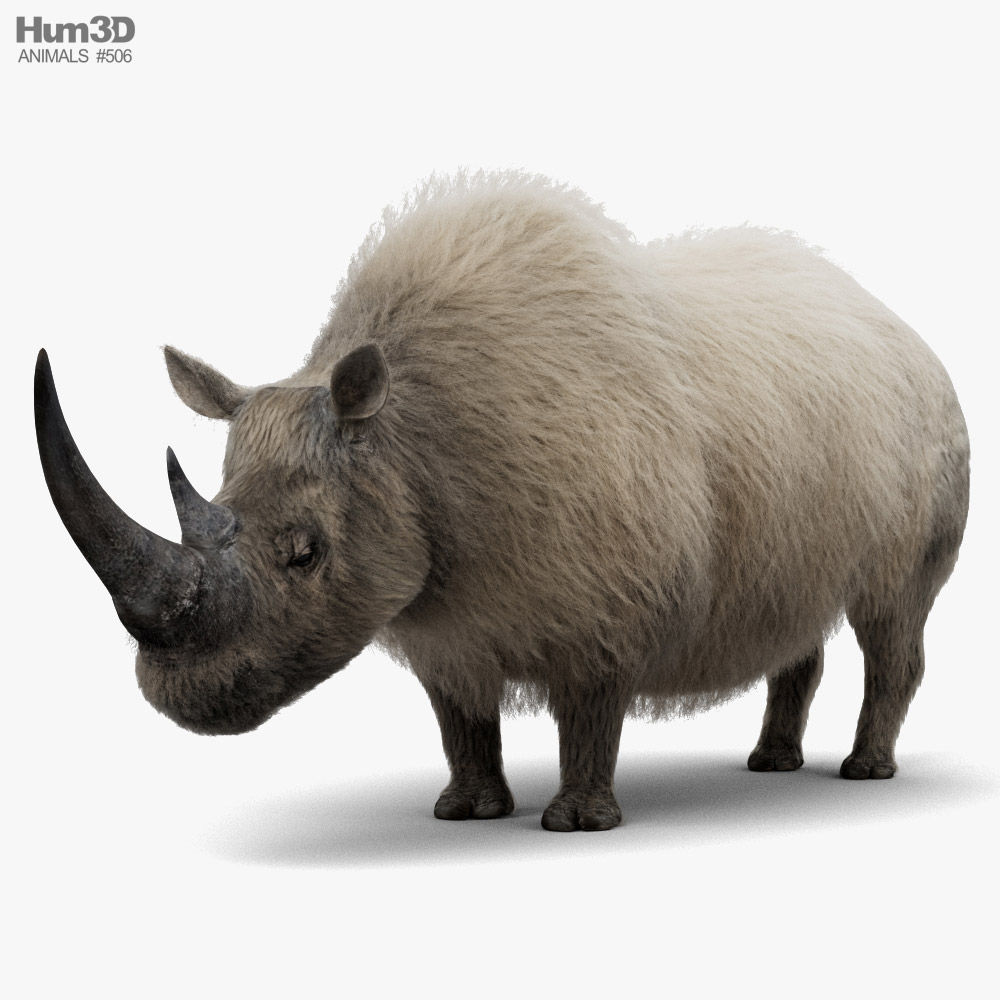 Woolly Rhinoceros 3D model