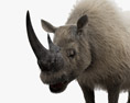 Шерстистый носорог 3D модель