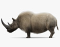 Волохатий носоріг 3D модель