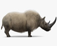 Rinoceronte lanoso Modello 3D
