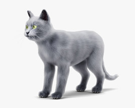 Chat gris Modèle 3D