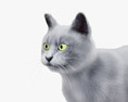 Gato gris Modelo 3D