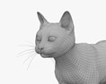 Gatto grigio Modello 3D