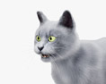 Gray Cat 3d model