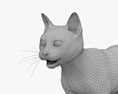 灰猫 3D模型