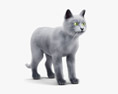 Gatto grigio Modello 3D