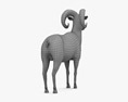 大角羊 3D模型