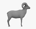 大角羊 3D模型