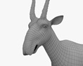 Saiga Antilope 3d model