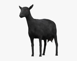 Black Alpine Goat 3D model