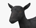 Чорна альпійська коза 3D модель