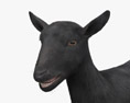 Black Alpine Goat 3d model