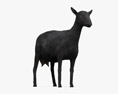 Cabra alpina negra Modelo 3D