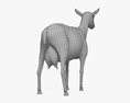 黑色高山山羊 3D模型