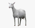 White Alpine Goat 3d model