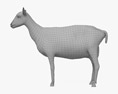 Белая альпийская коза 3D модель
