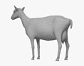 Чорно-біла альпійська коза 3D модель