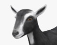 Black and White Alpine Goat 3d model