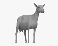 Черно-белая альпийская коза 3D модель